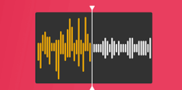 Video to Audio Extractor